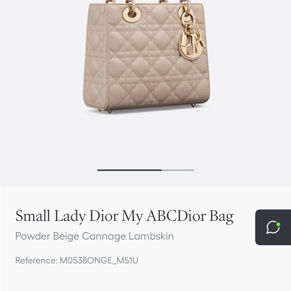 Dior Small Lady Bag in Powder Beige - Picture 1 of 12